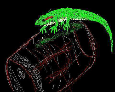 gecko