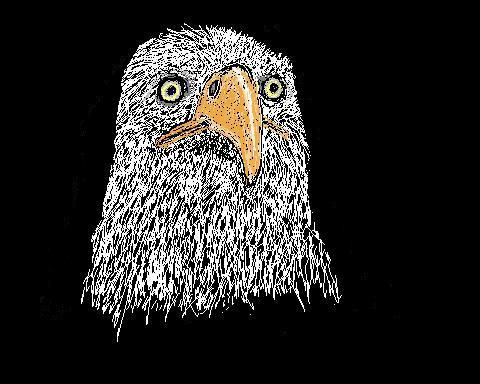 eagle